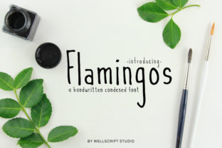 Flamingos Font: Where Playful Charm Meets Design Versatility