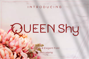 Queen Shy: Elegant Typography for Discerning Designers