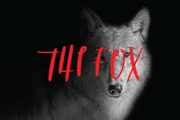 The Fox